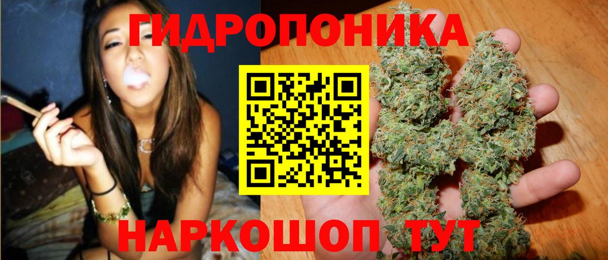 Бошки Шишки план  Конопля SATIVA & INDICA  Вход с VPN  Иваново  Бошки Шишки сатива 